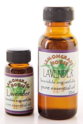 kids essential oil_lavender.jpg
