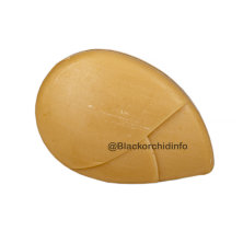 Мыло с травами TWIN LOTUS, 85 гр.