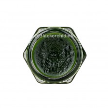 Бальзам с клинакантунсом нутансом Green Herb (зеленый) 20 г