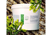 Водорослевое обертывание (микронизированный фукус) ВЕЛИНИЯ, 1 кг.