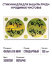 Стикини для для защиты груди и родинок (фольга) Чистовье, 50 пар * 3 шт.
