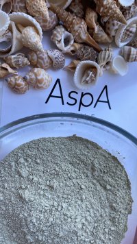 Маска из ламинарии для обертывания, микронизированная AspA Love, 600 гр
